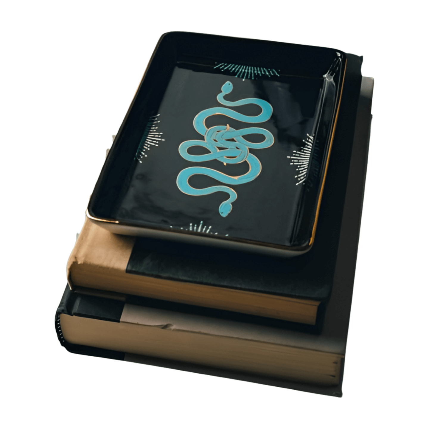 Golden Age Serpent Ceramic Tray – Alicia DiMichele Boutique