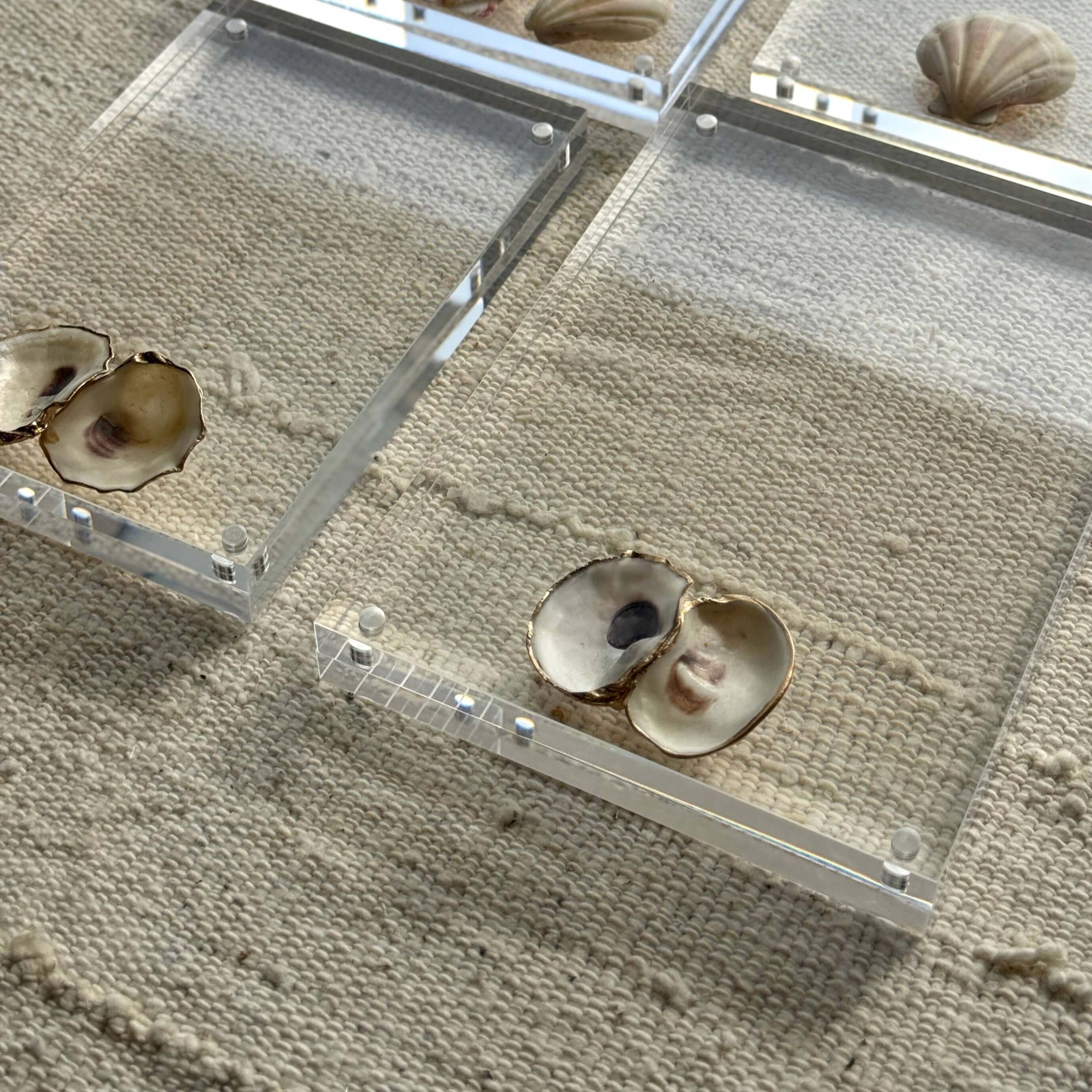 Shell Acrylic Frames – Alicia DiMichele Boutique
