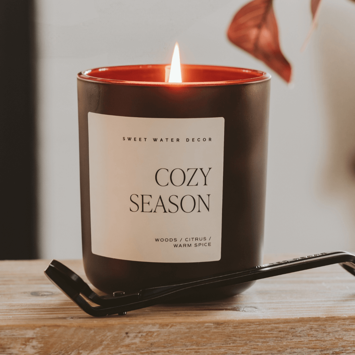 Cozy Season Candle – Alicia DiMichele Boutique