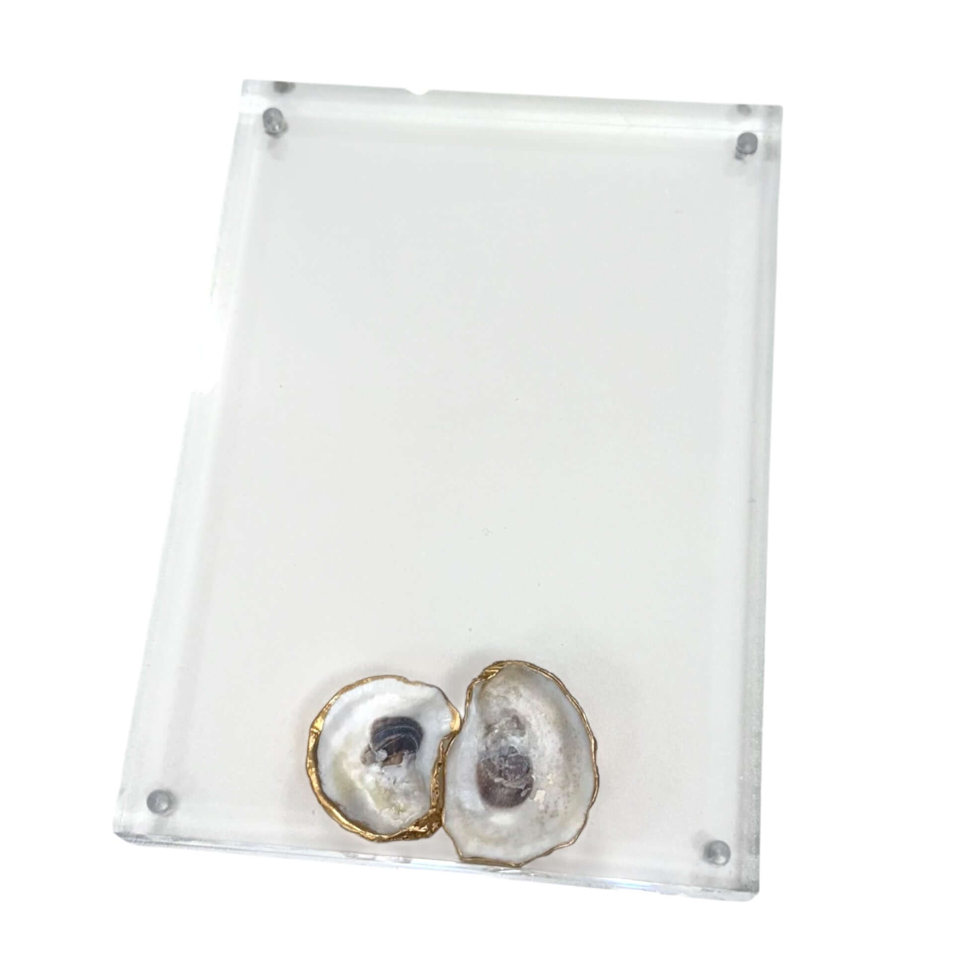Shell Acrylic Frames – Alicia DiMichele Boutique