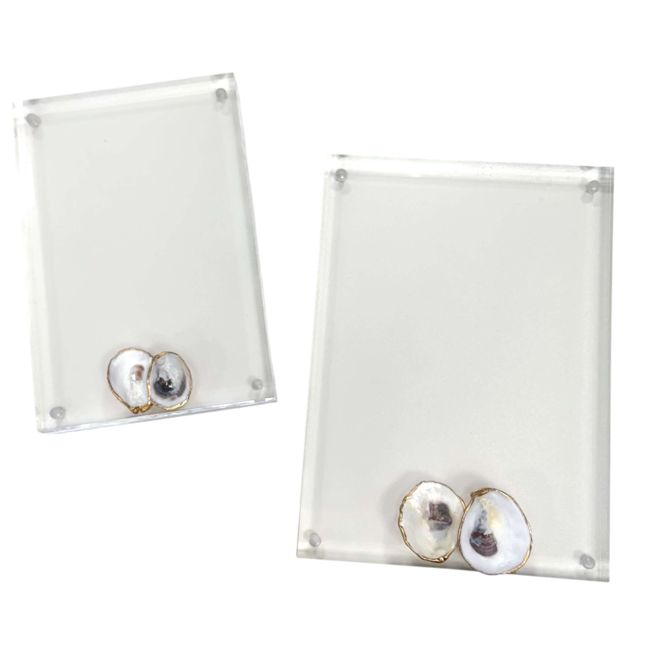 Shell Acrylic Frames – Alicia DiMichele Boutique