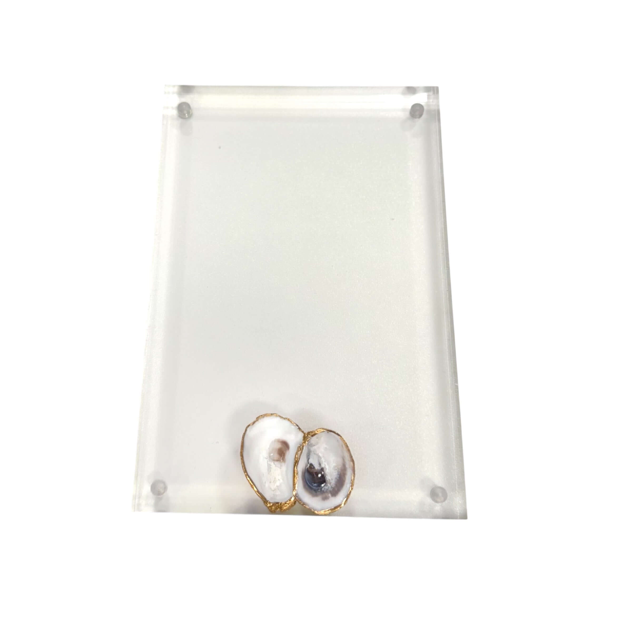 Shell Acrylic Frames – Alicia DiMichele Boutique