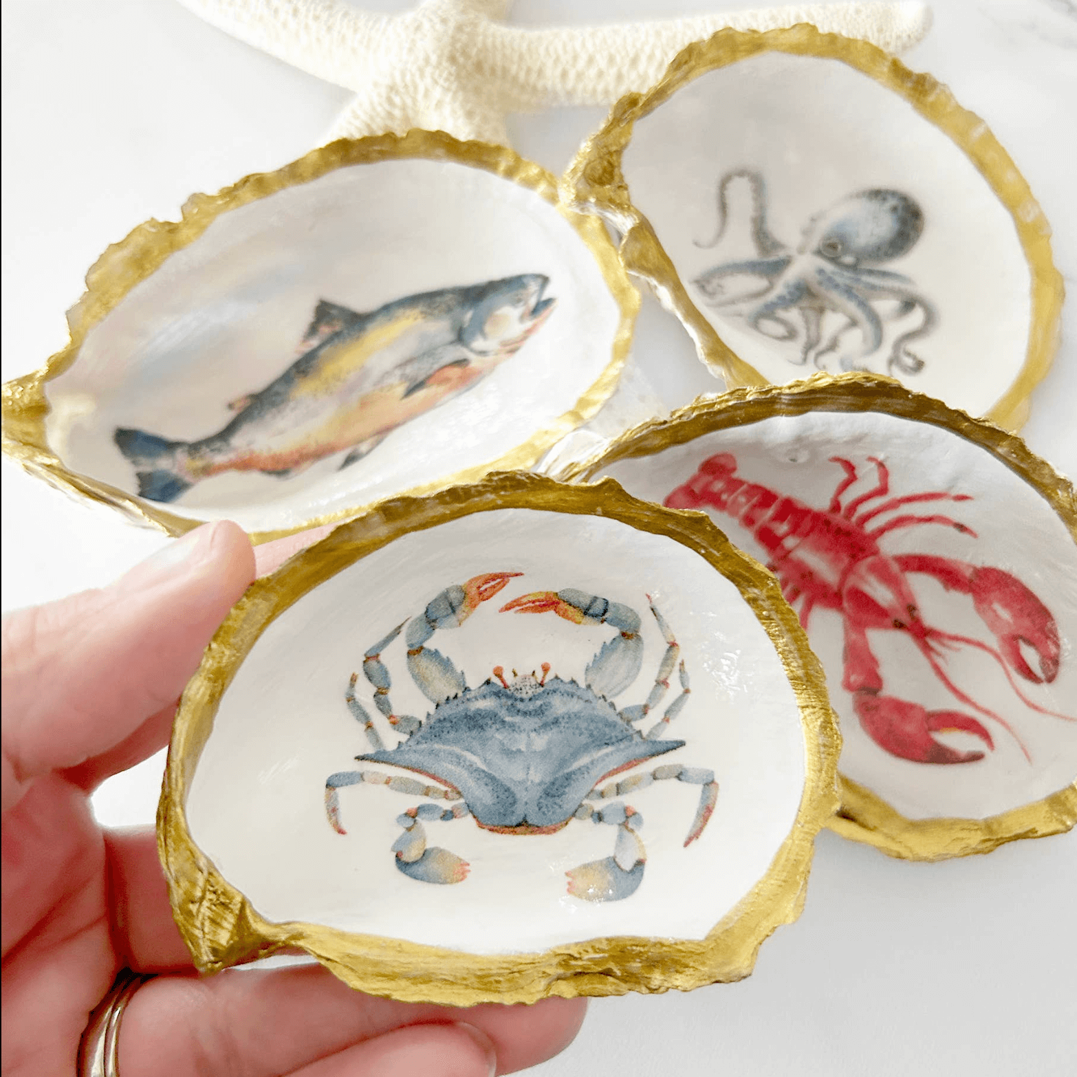 Lobster Life Oyster Shell Trinket Dish – Alicia DiMichele Boutique