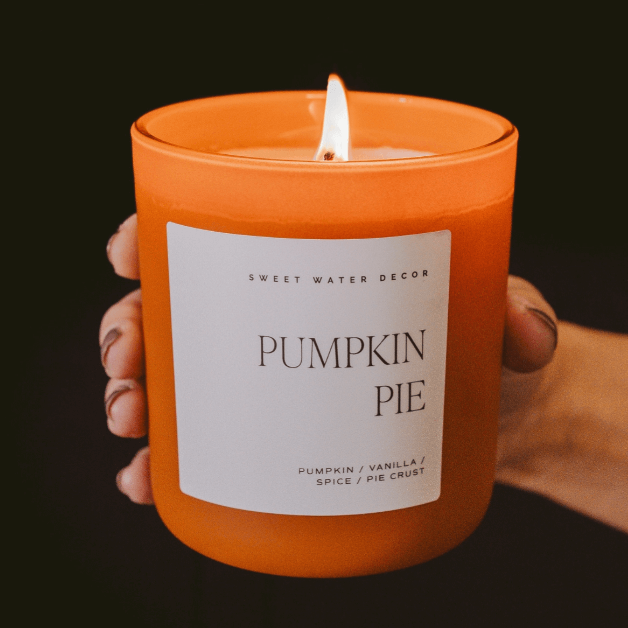 Pumpkin Pie Candle – Alicia DiMichele Boutique