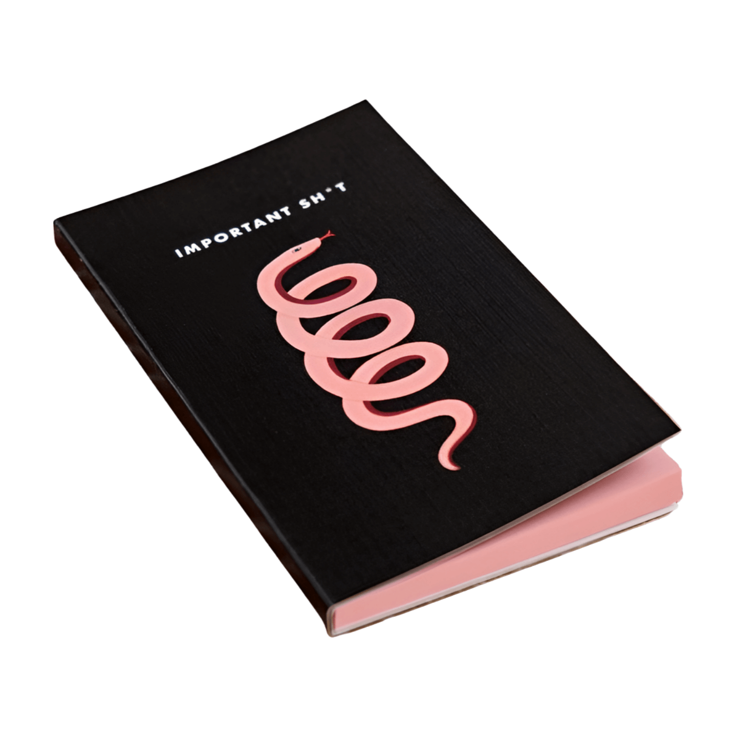 Important Sh*t Mini Notepad – Alicia DiMichele Boutique