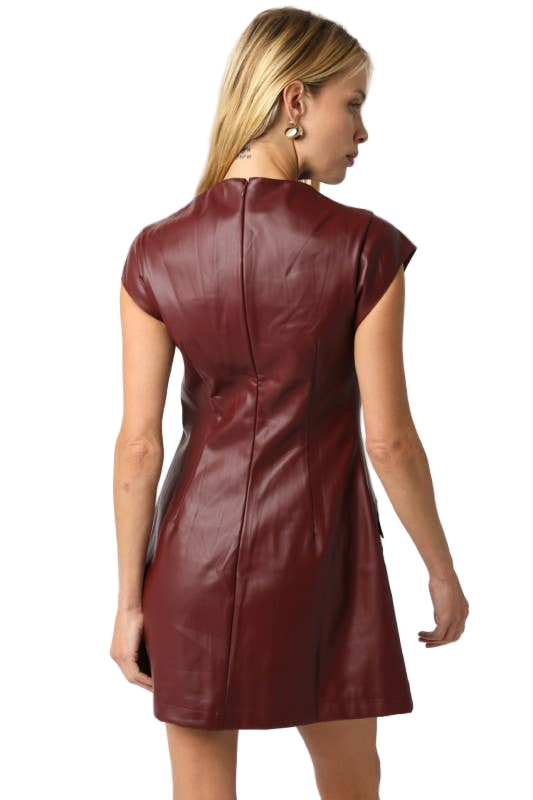 Woman wearing a burgundy leather dress on a white background