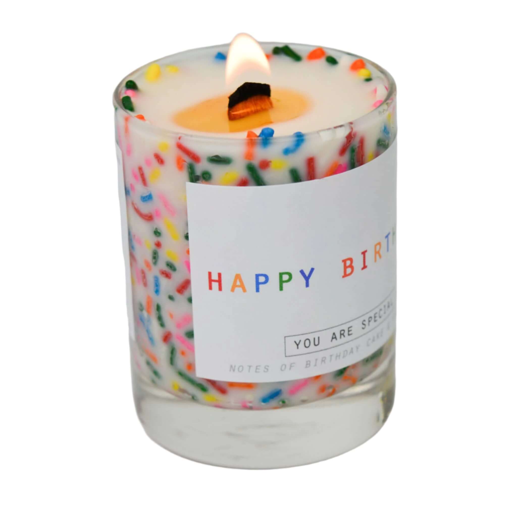 Mini Happy Birthday Candle – Alicia DiMichele Boutique