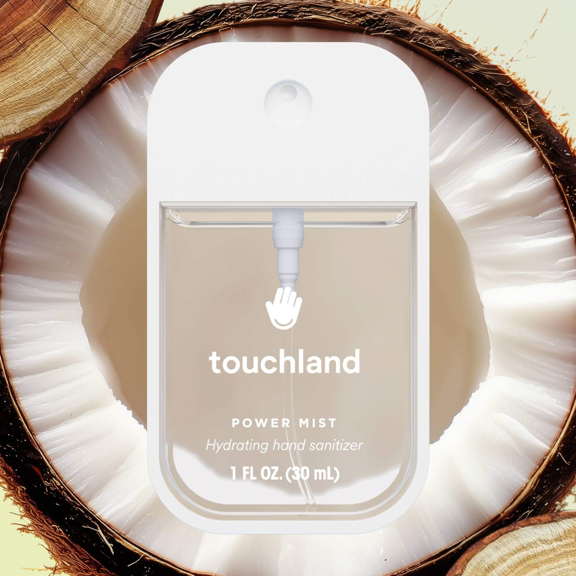 Touchland Power Mist Hand Sanitizer – Alicia DiMichele Boutique