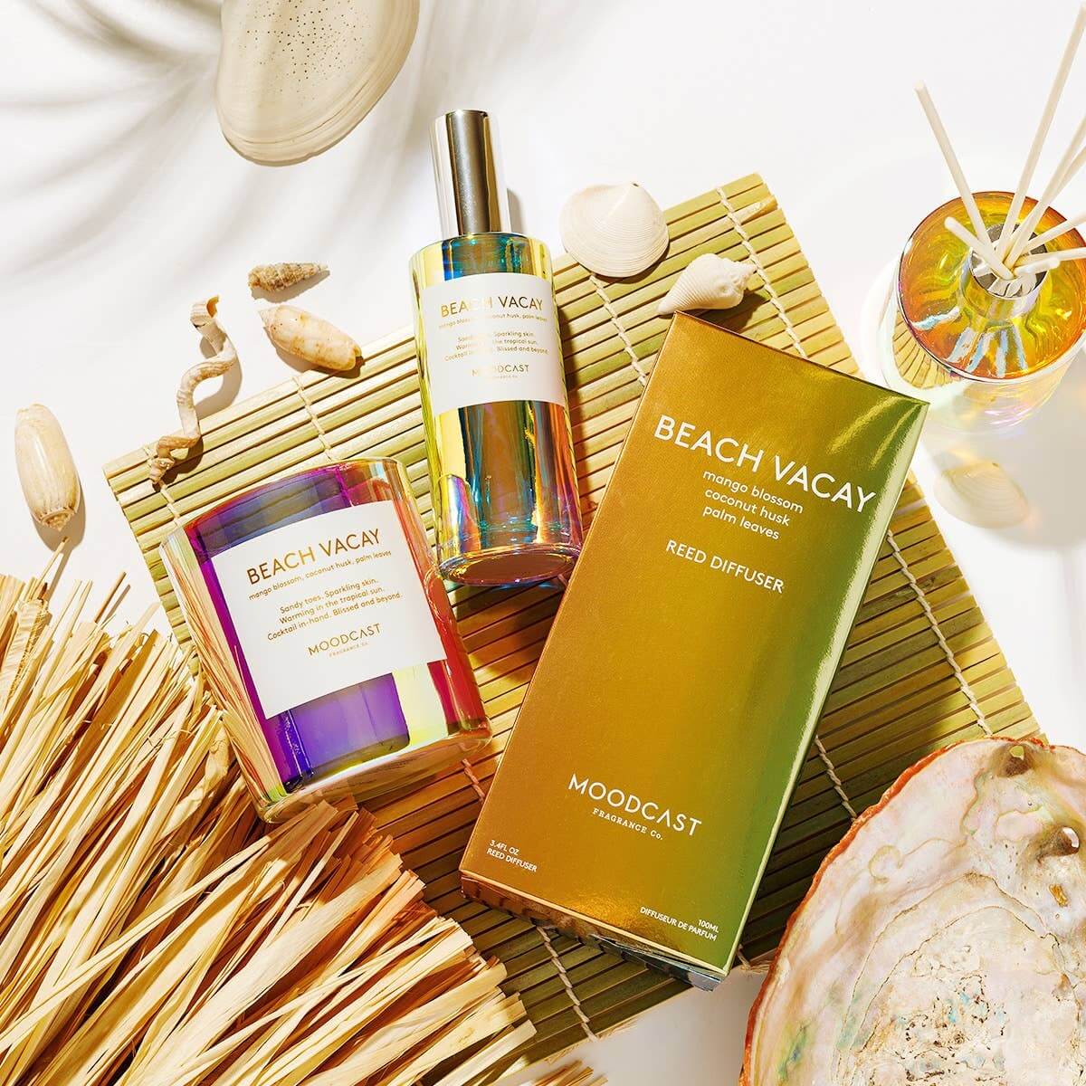 Beach Vacay Coconut Wax Candle – Alicia DiMichele Boutique