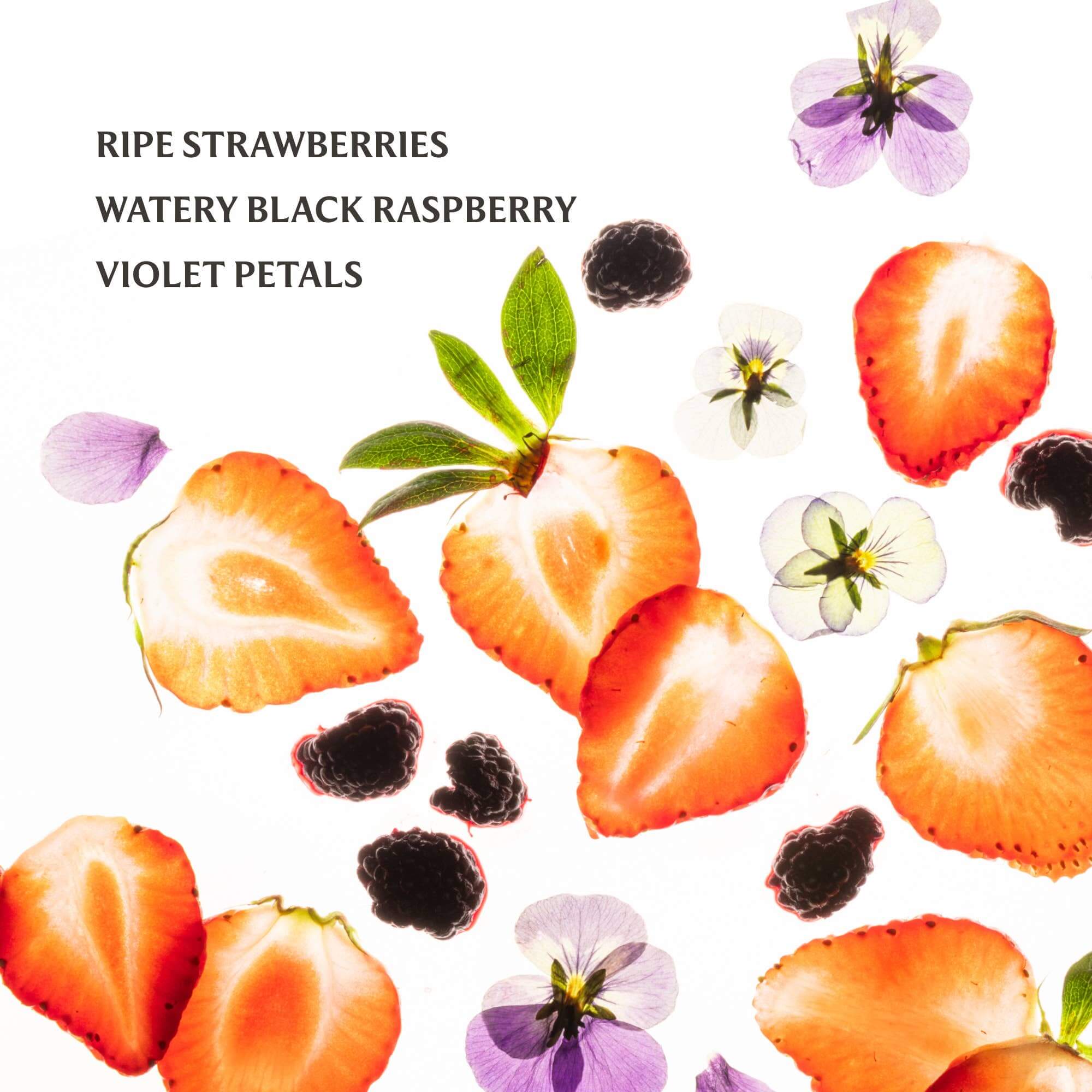 Touchland Power Mist Hand Sanitizer – Alicia DiMichele Boutique