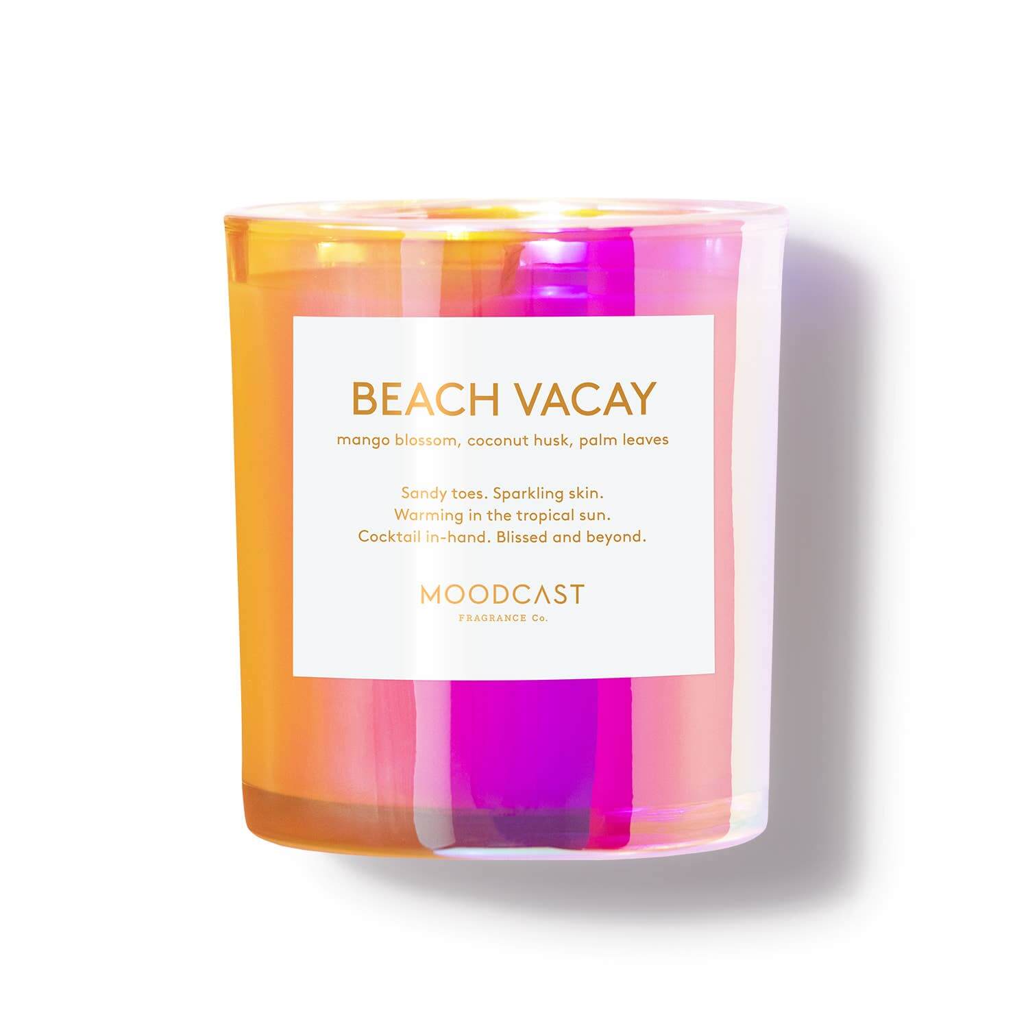 Beach Vacay Coconut Wax Candle – Alicia DiMichele Boutique
