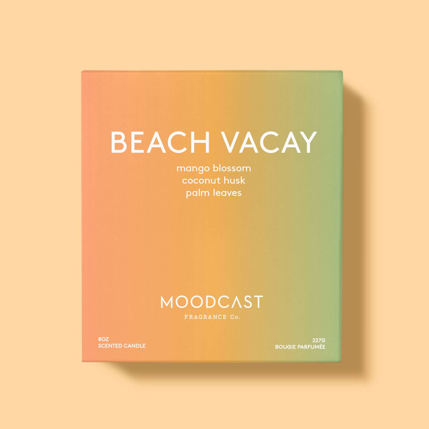 Beach Vacay Coconut Wax Candle – Alicia DiMichele Boutique