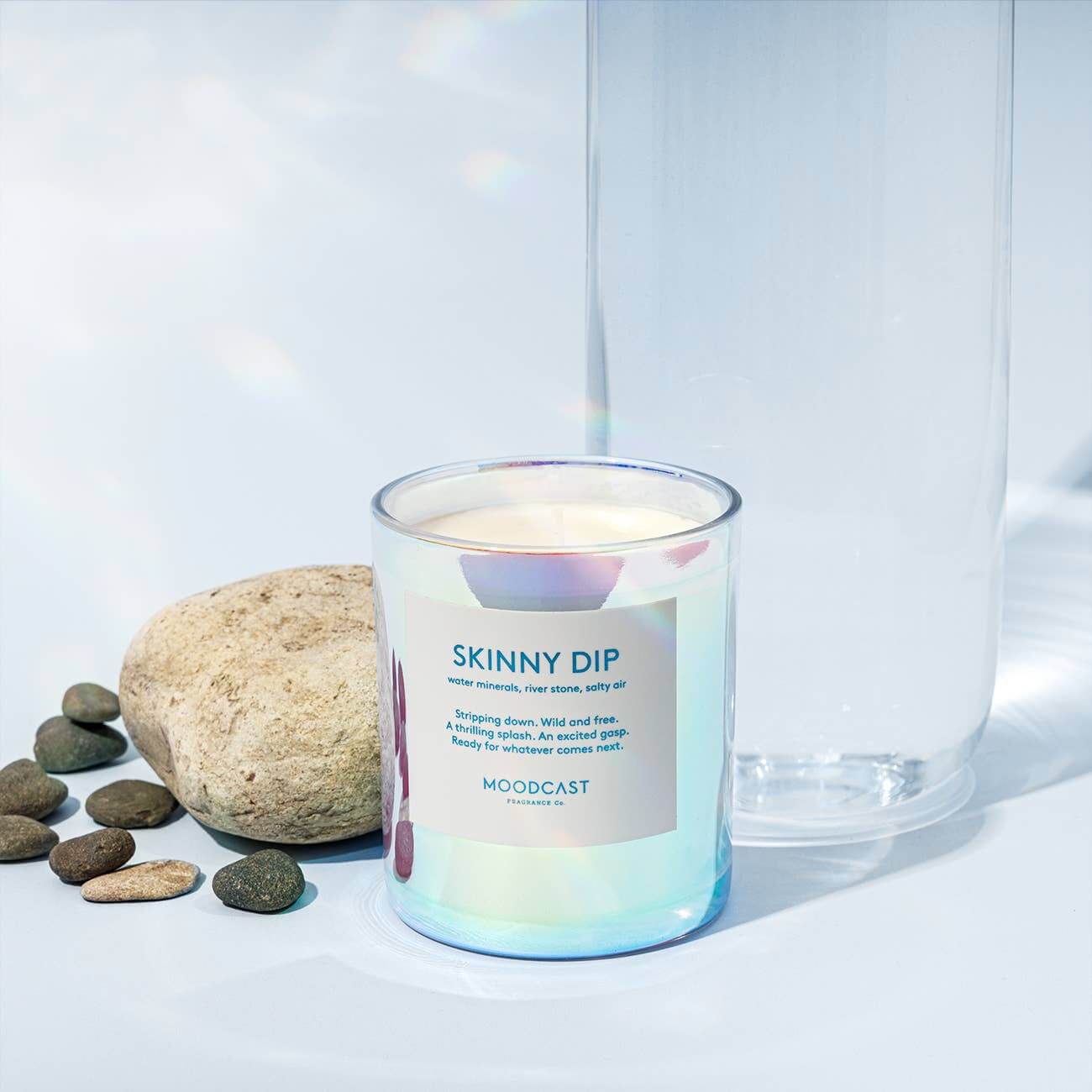 Skinny Dip Coconut Wax Candle – Alicia DiMichele Boutique