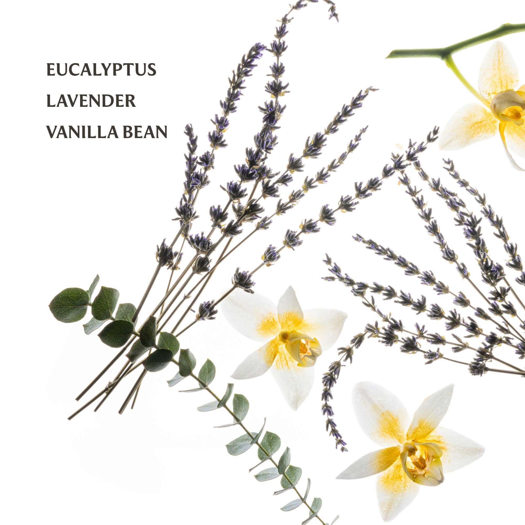 Touchland Power Mist Hand Sanitizer – Alicia DiMichele Boutique