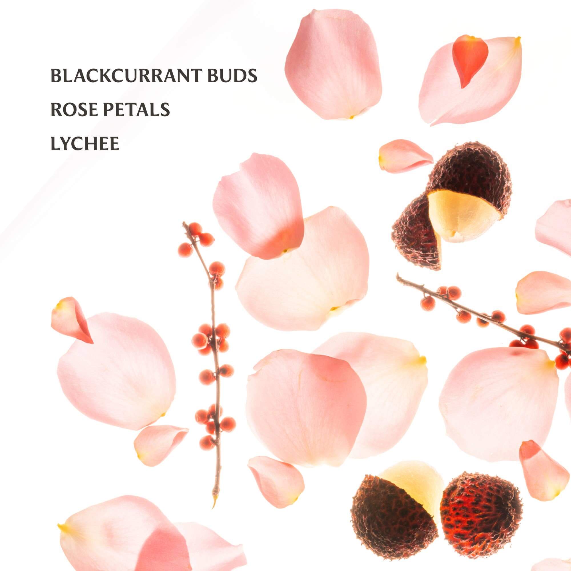 Touchland Power Mist Hand Sanitizer – Alicia DiMichele Boutique