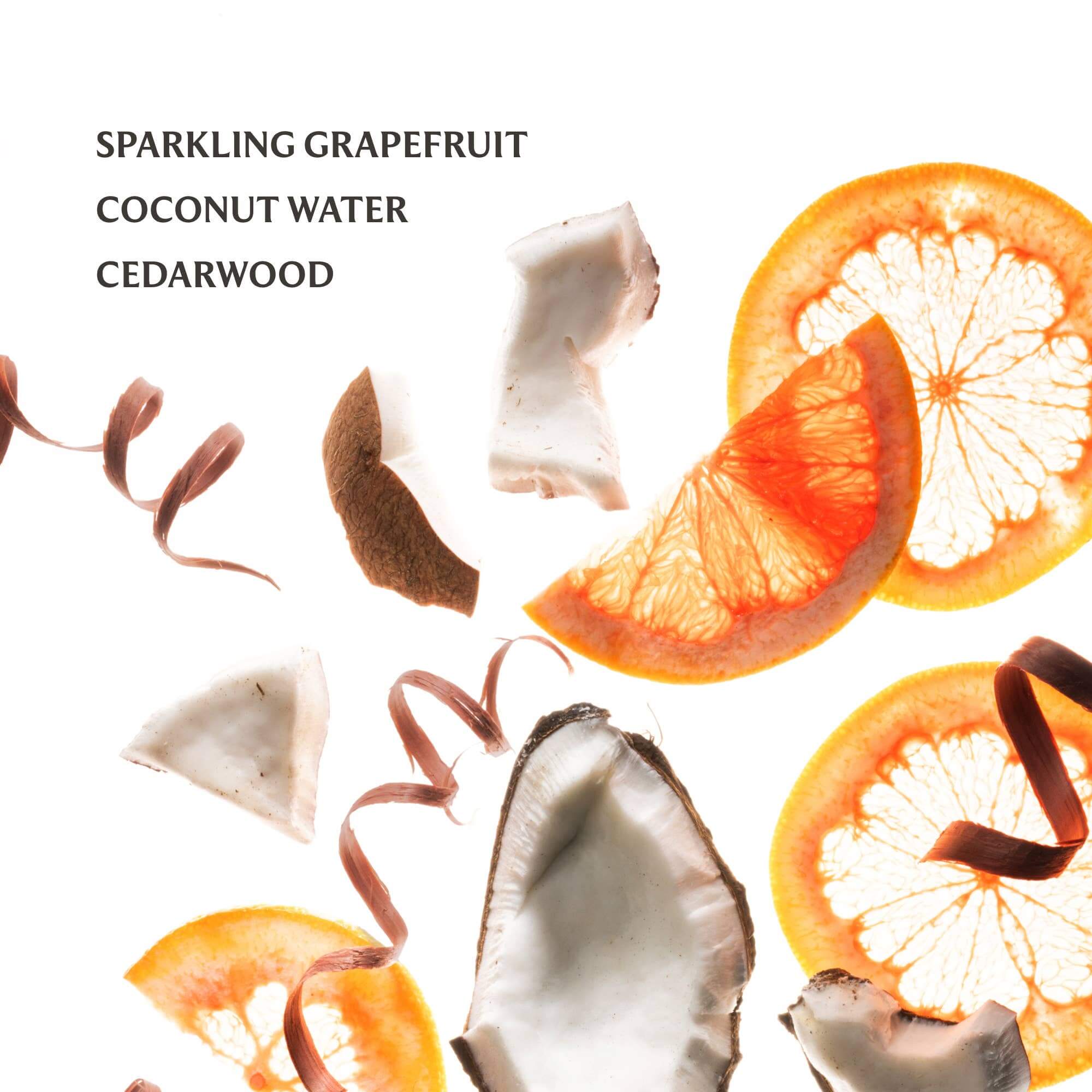 Touchland Power Mist Hand Sanitizer – Alicia DiMichele Boutique