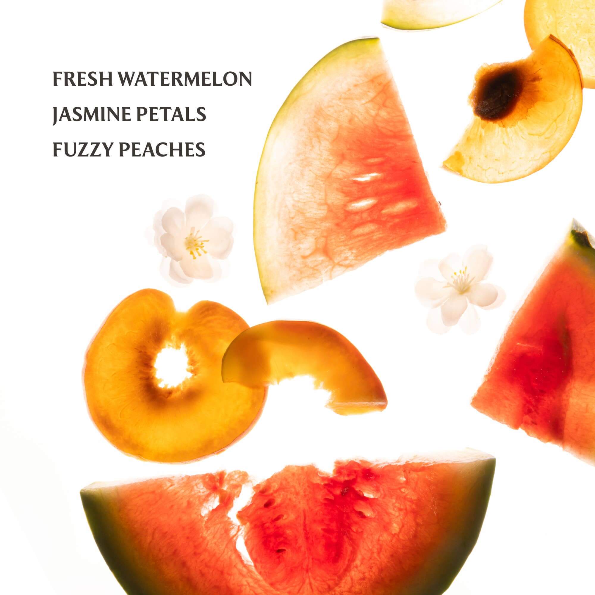 Touchland Power Mist Hand Sanitizer – Alicia DiMichele Boutique