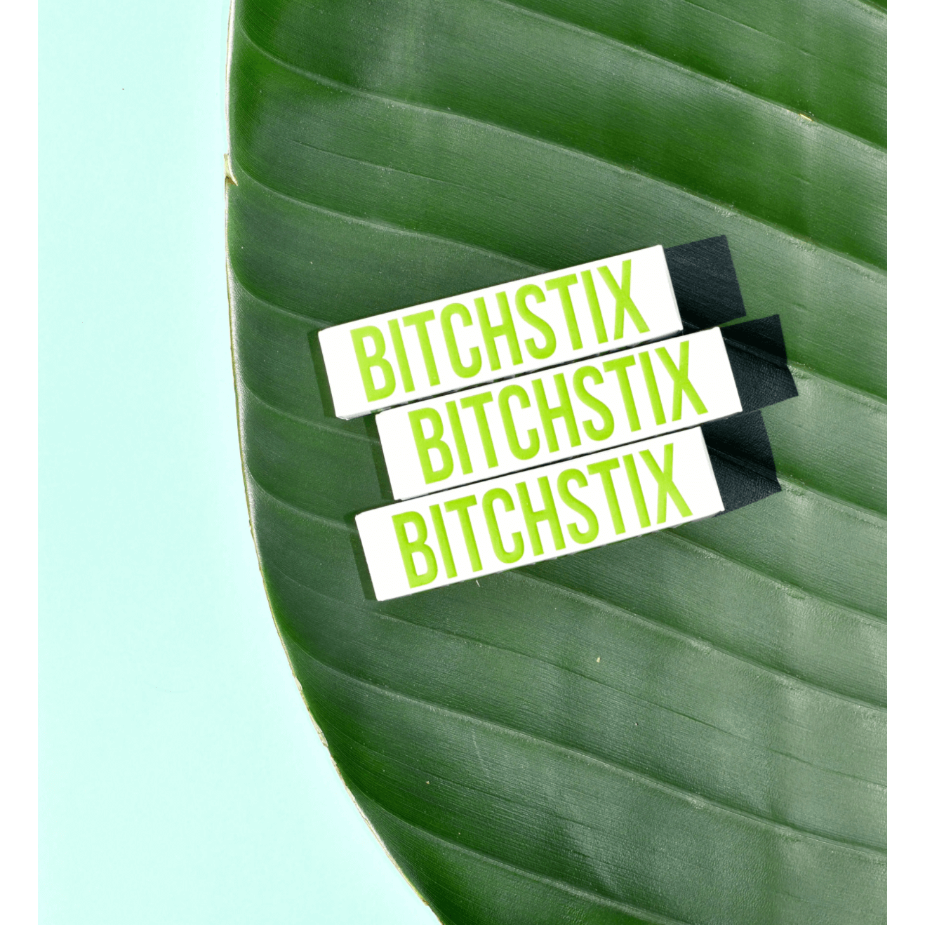 BITCHSTIX Lip Balm – Alicia DiMichele Boutique