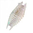 Clear hair clip with rhinestone accents on a white background