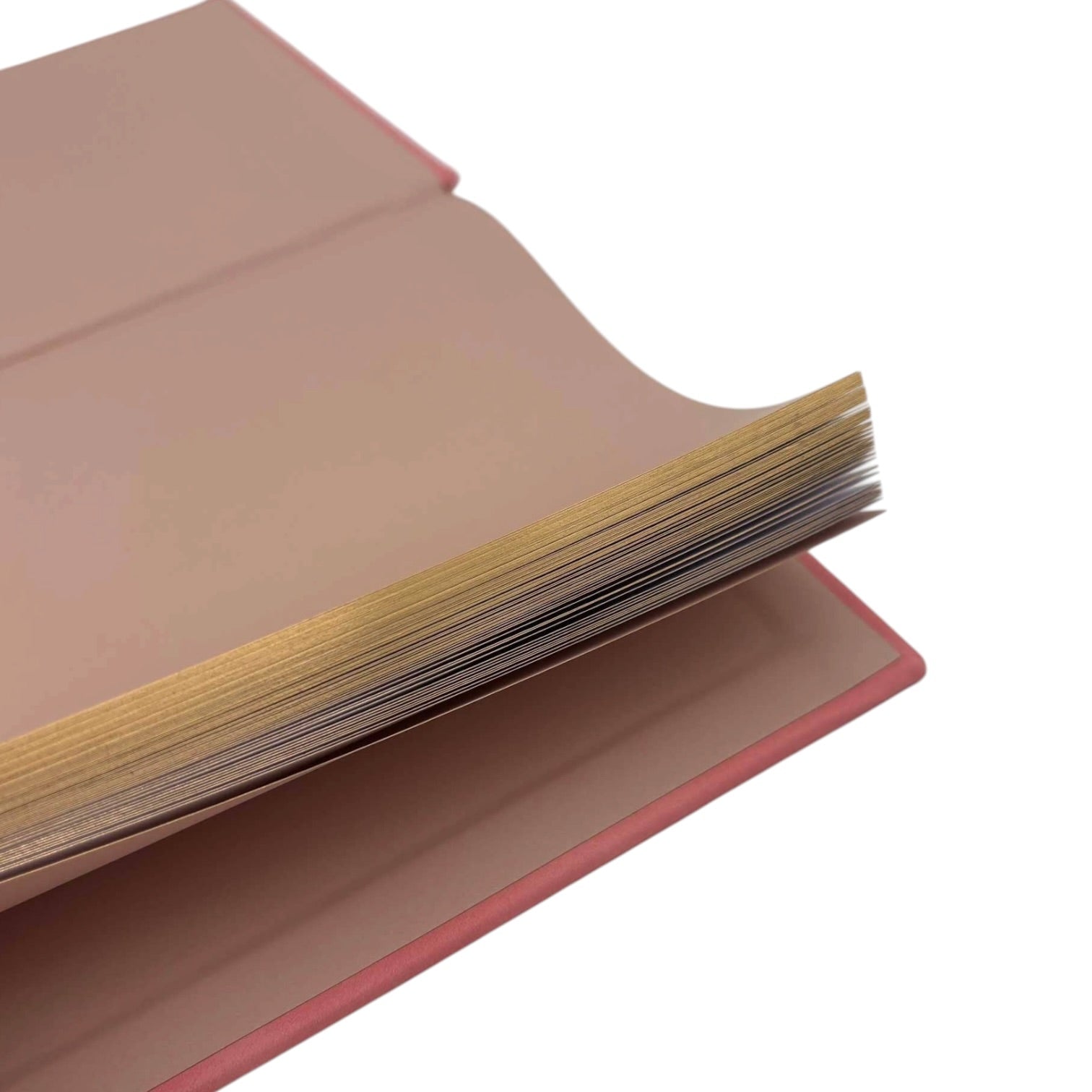 Open book with beige pages on a white background