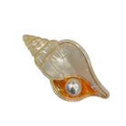 Shell with a pearl inside on a white background