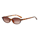 brown retro oval small frame sunglasses on white background